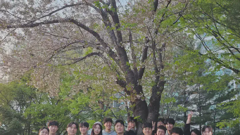 2024. 04. 09. BCML 벚꽃 나들이