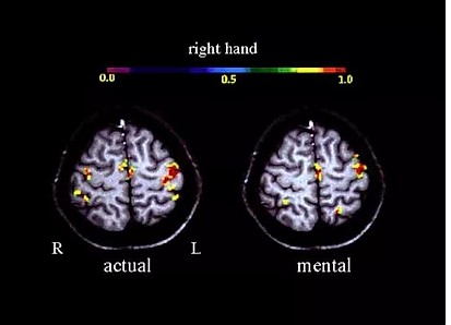 Motor Cortex Activation Decoding visual