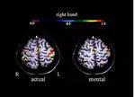 Motor Cortex Activation Decoding