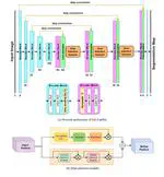 DA-Capnet: Dual Attention for Nailfold Capillary Segmentation