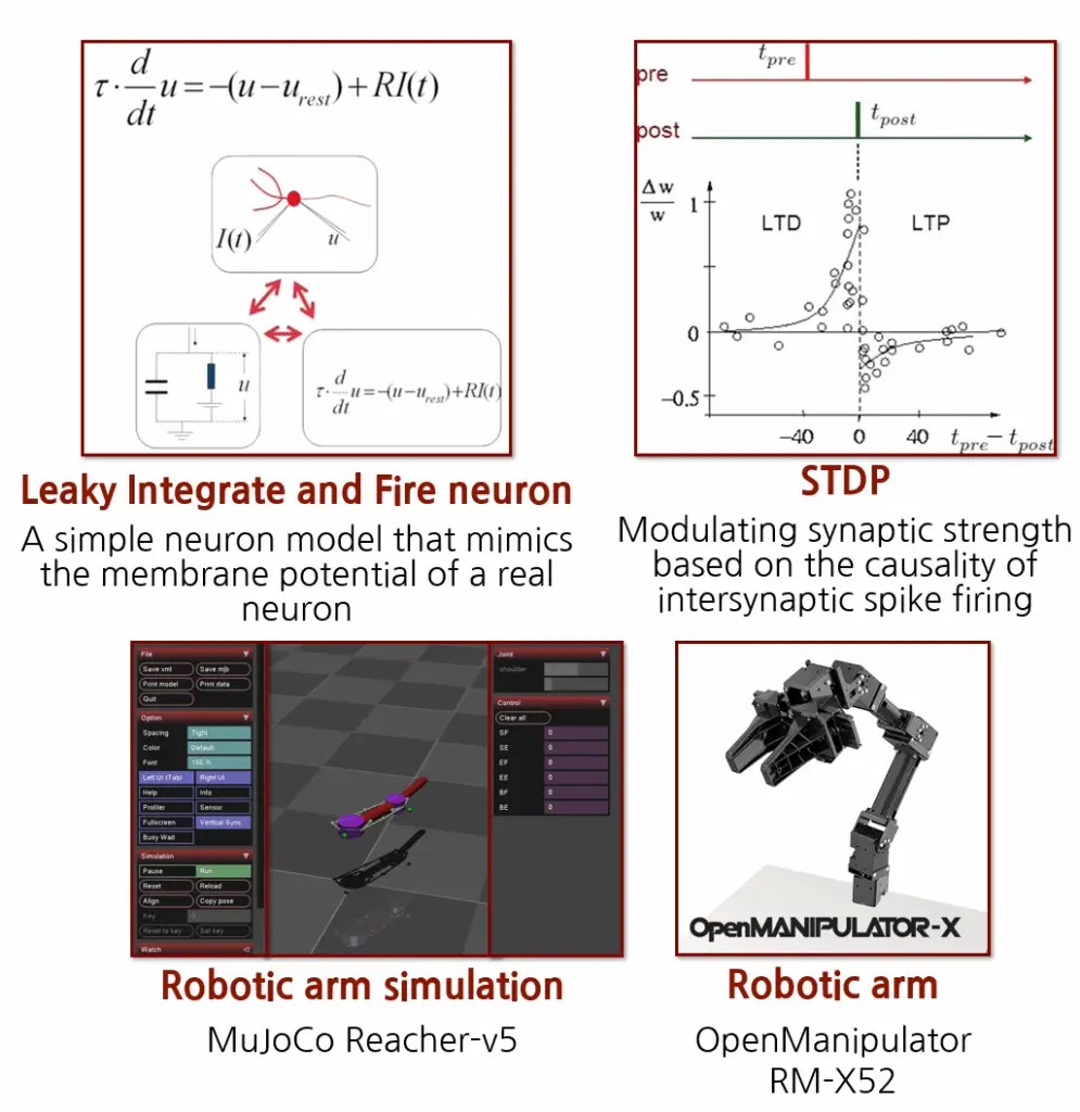 Neuromorphic Control of Robotic Manipulators visual