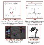 Neuromorphic Control of Robotic Manipulators