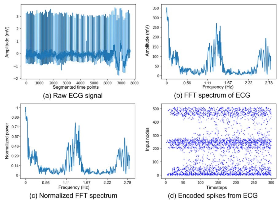 Bio-signal SNN Analytics visual
